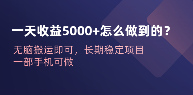 图片[1]-（6435期）一天收益5000+怎么做到的？无脑搬运即可，长期稳定项目，一部手机可做-蛙蛙资源网