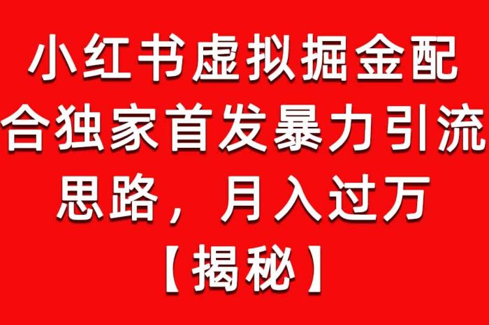 （6643期）小红书虚拟掘金配合独家首发暴力引流思路，月入过万