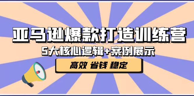 （5107期）亚马逊爆款打造训练营：5大核心逻辑+案例展示 打造爆款链接 高效 省钱 稳定-1