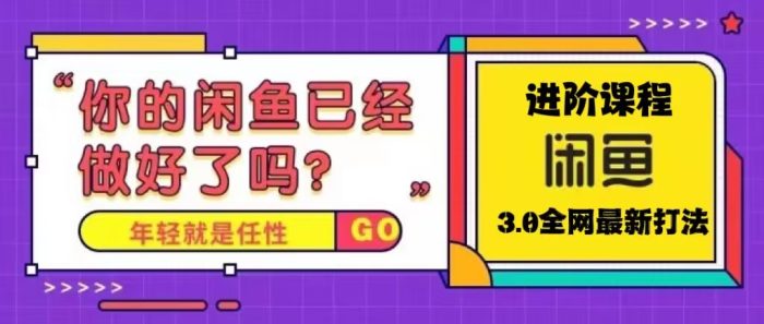 （5289期）火爆全网的咸鱼玩法进阶课程，单号日入1K的咸鱼进阶课程-1