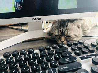 超百家公司名叫不想上班 创业脑洞不断，90后开公司新名字流行