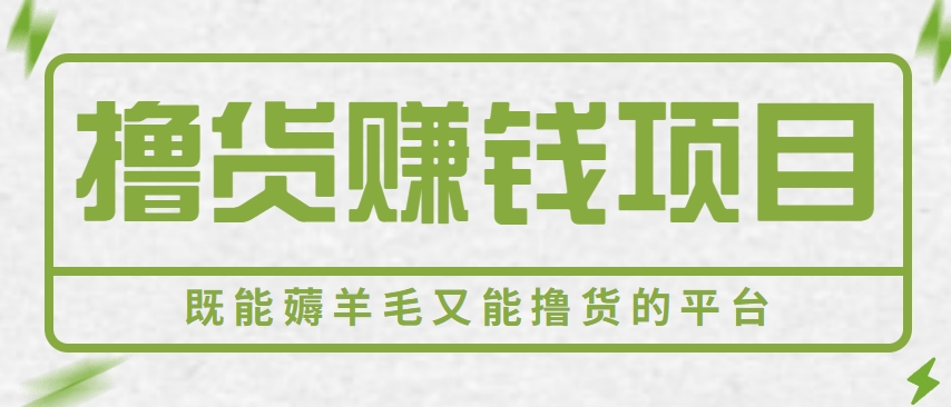 新手小白可做，既能撸货又能薅羊毛赚钱的项目，轻松日赚几十几百元【视频教程】