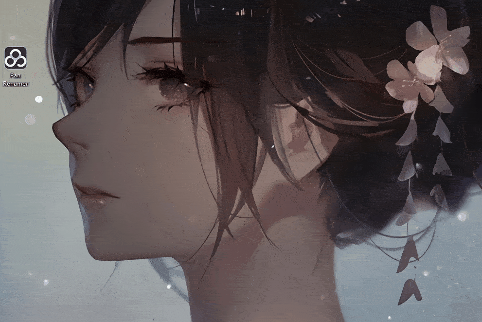 Pan Renamer(百度网盘批量重命名工具)v1.0免费版（批量改名 百度网盘）