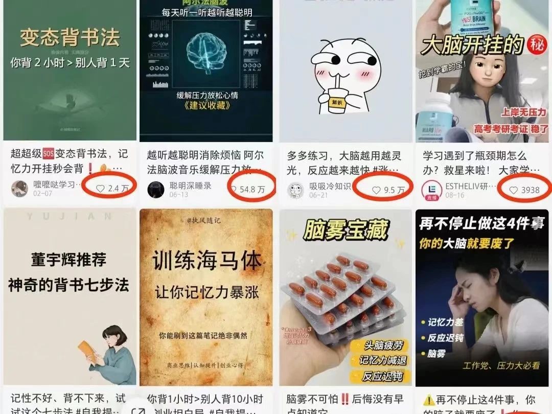 提升记忆力项目，操作简单，一单利润19.9
