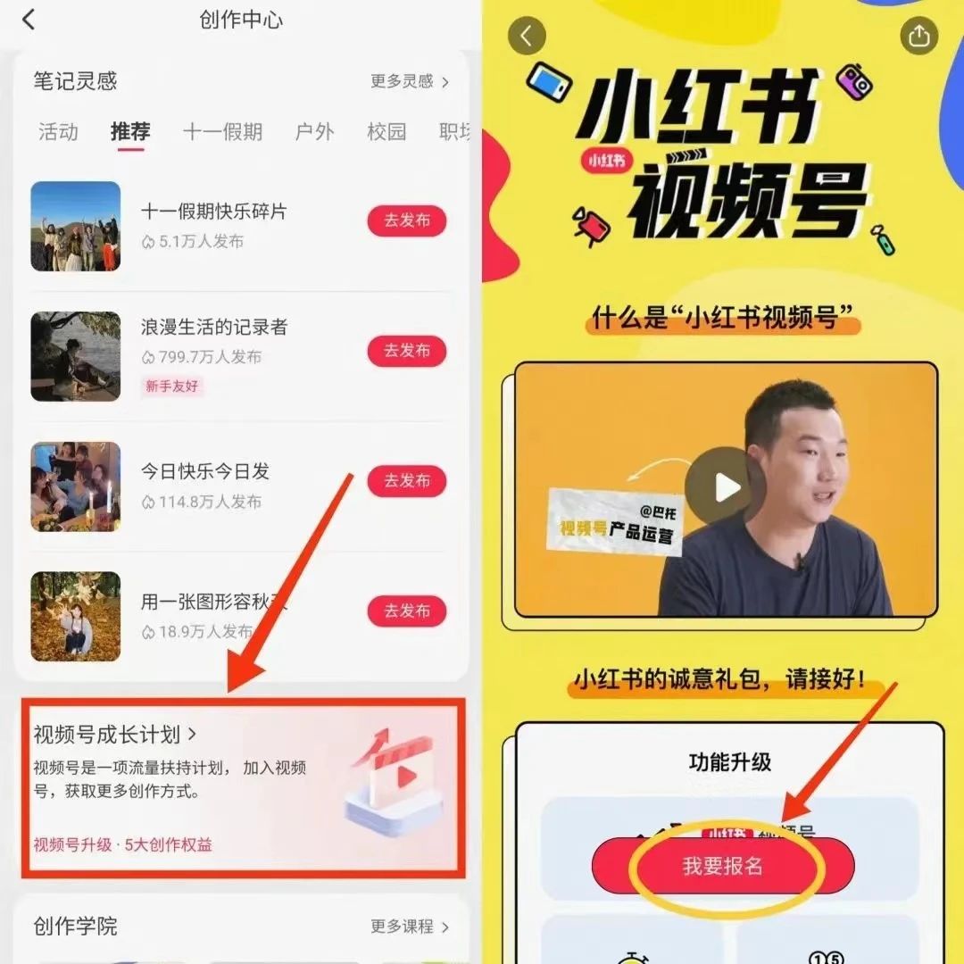 提升记忆力项目，操作简单，一单利润19.9