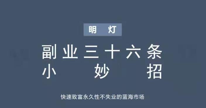 图片[1]-明灯副业三十六条小妙招之第八招快速致富永久性不失业的蓝海市场-蛙蛙资源网