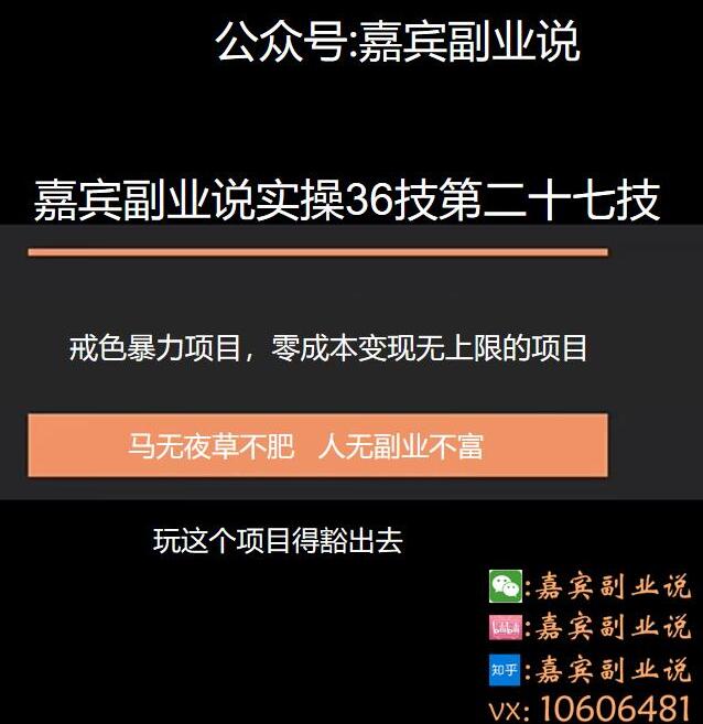 图片[1]-嘉宾副业说实操36技第二十七技：戒色项目变现项目，零成本变现无上限-蛙蛙资源网