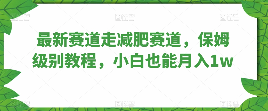 图片[1]-最新赛道走减肥赛道，保姆级别教程，小白也能月入1w-蛙蛙资源网