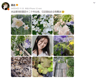 四十二岁漫画家夏达，依旧是那个美少女