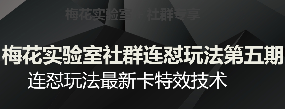 图片[1]-梅花实验室社群连怼玩法第五期，视频号连怼玩法最新卡特效技术-蛙蛙资源网