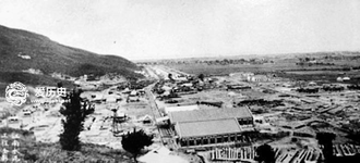 一个丹麦小混混人品大爆发, 在南京大屠杀中救了上万中国人