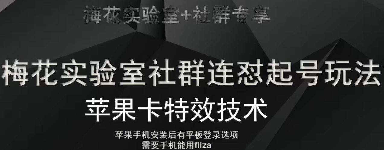 图片[1]-梅花实验室社群视频号连怼起号玩法，最新苹果卡特效技术-蛙蛙资源网