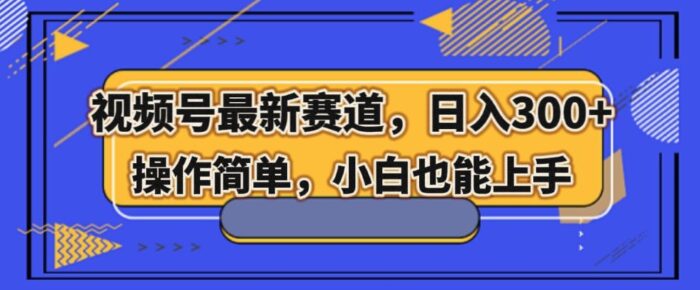 视频号最新赛道，日入300+，新手小白轻松掌握-1