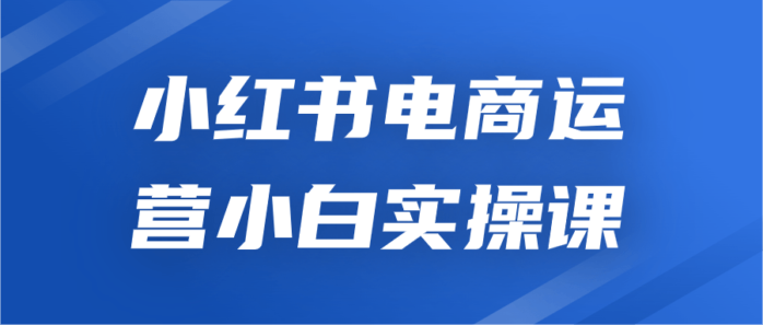 小红书电商运营小白实操课-1