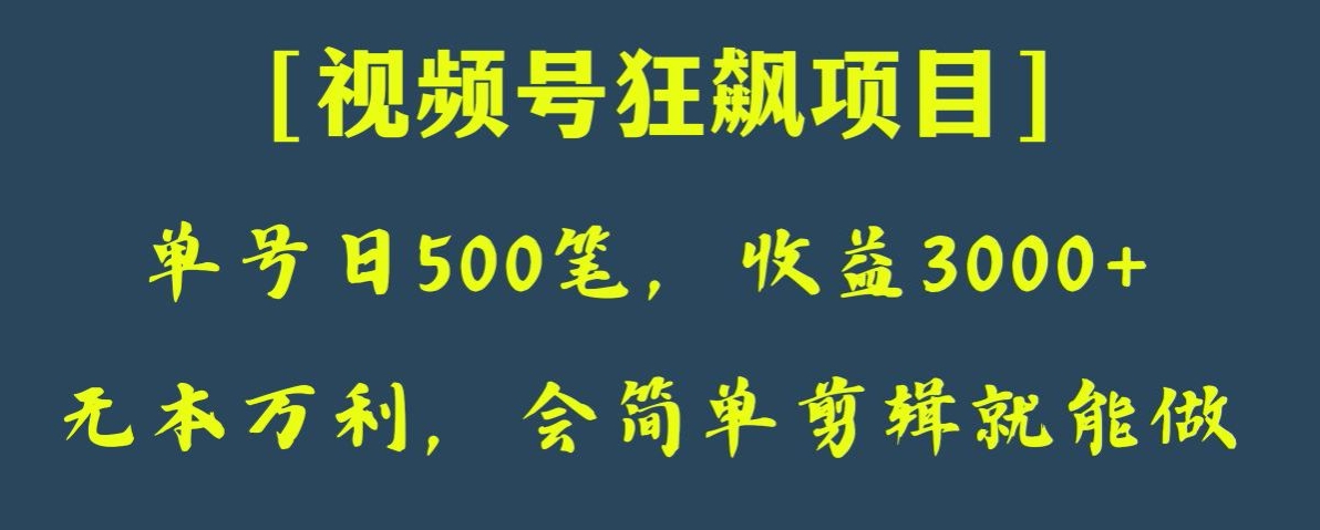 图片[1]-日收款500笔，纯利润3000+，视频号狂飙项目，会简单剪辑就能做【揭秘】-蛙蛙资源网