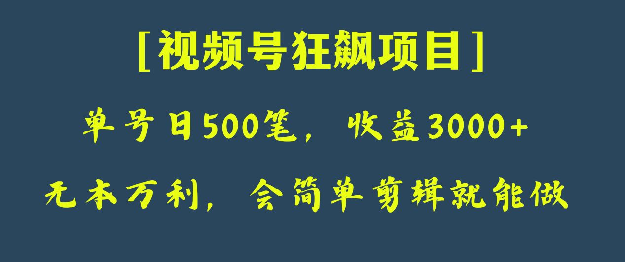 图片[1]-日收款500笔，纯利润3000+，视频号狂飙项目！-蛙蛙资源网