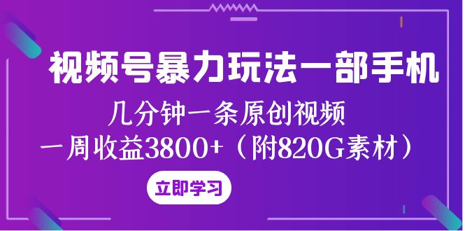 图片[1]-（8017期）视频号暴力玩法一部手机 几分钟一条原创视频 一周收益3800+（附820G素材）-蛙蛙资源网