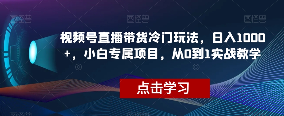 图片[1]-视频号直播带货冷门玩法，日入1000+，小白专属项目，从0到1实战教学【揭秘】-蛙蛙资源网