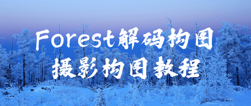 图片[1]-Forest解码构图摄影构图教程-蛙蛙资源网