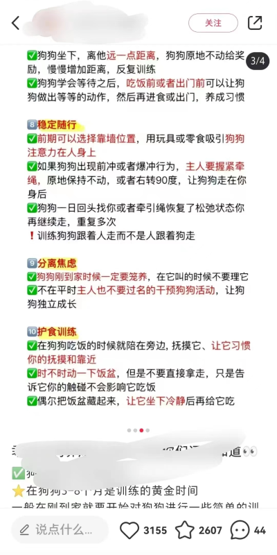 冷门训狗项目，操作简单，一单利润99+