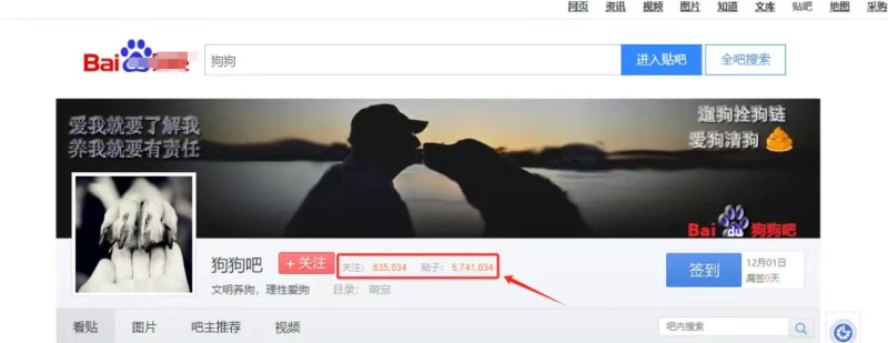 冷门训狗项目，操作简单，一单利润99+