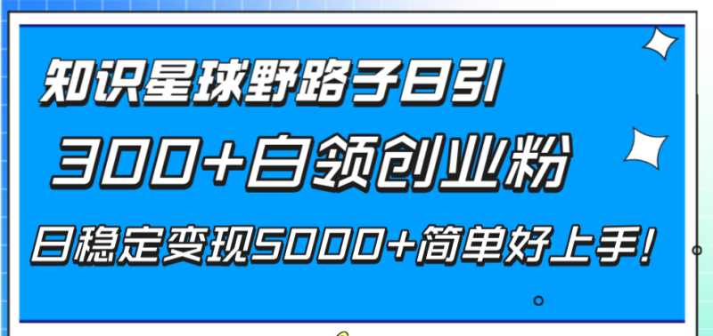 图片[1]-（8315期）知识星球野路子日引300+白领创业粉，日稳定变现5000+简单好上手！-蛙蛙资源网