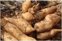 搞什么特种养殖好，4个适合穷人的特种种养创业项目，暴利惊人，赶快下手！