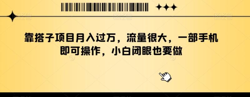 靠搭子项目月入过万，流量很大，一部手机即可操作，小白闭眼也要做