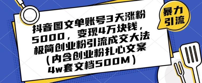 抖音图文单账号3天涨粉5000，变现4万块钱，极简创业粉引流成交大法（内含创业粉扎心文案4w套文档500M）