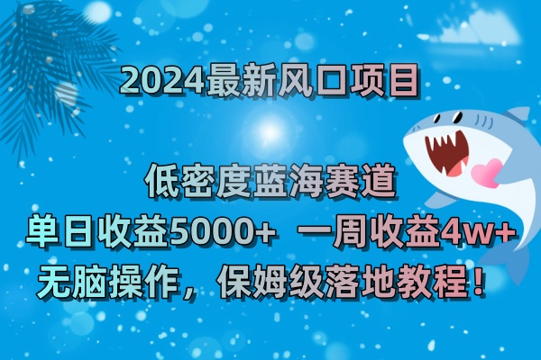 （8545期）2024最新风口项目 低密度蓝海赛道，日收益5000+周收益4w+ 无脑操作，保姆级落地教程！