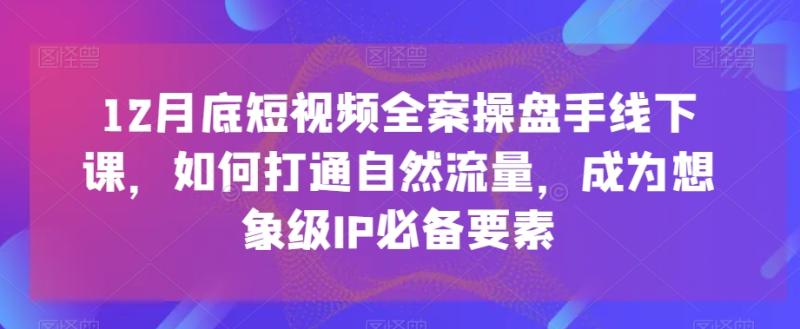 12月底短视频全案操盘手线下课，如何打通自然流量，成为想象级IP必备要素，全是干货，不讲废话超深度培训实操