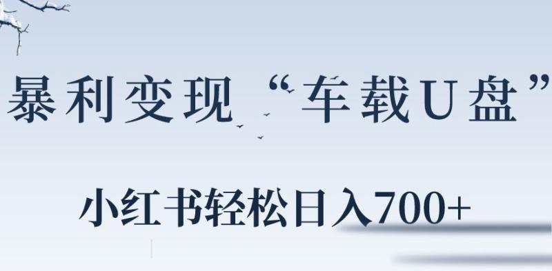 小红书“车载U盘”暴利引流，日入700+