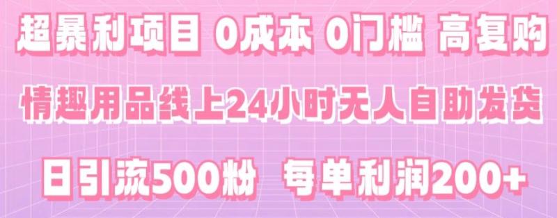 超暴利项目，情趣用品线上24小时-无人自助发货，0成本，0门槛，高复购