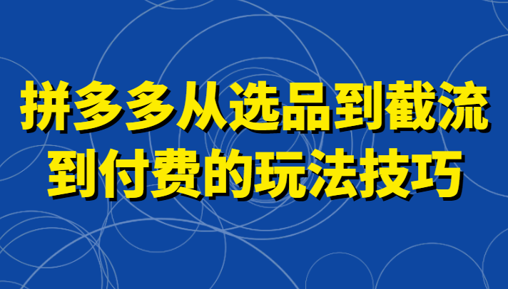 图片[1]-拼多多从选品到截流到付费的玩法技巧，助你掌握截流自然流量，高投产，强付费快速启动-蛙蛙资源网