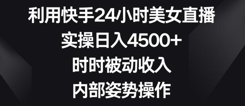 图片[1]-利用快手24小时美女直播，实操日入4500+，时时被动收入，内部姿势操作【揭秘】-蛙蛙资源网