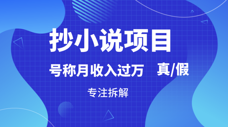 图片[1]-抄小说项目，号称月入过万，到底是否真实，能不能做，详细拆解-蛙蛙资源网