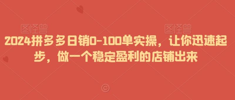 2024拼多多日销0-100单实操，让你迅速起步，做一个稳定盈利的店铺出来