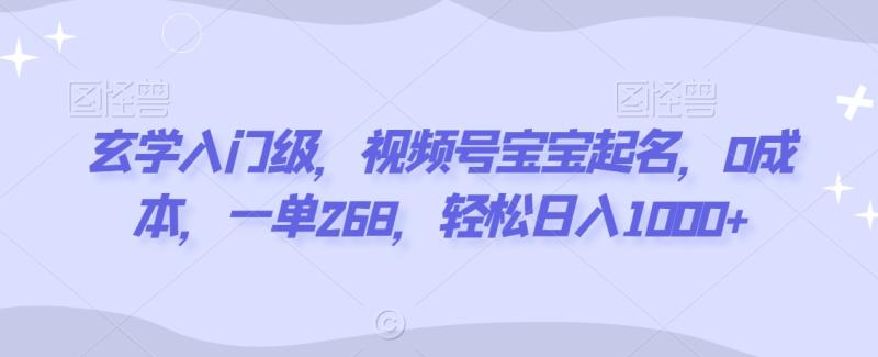 图片[1]-玄学入门级，视频号宝宝起名，0成本，一单268，轻松日入1000+【揭秘】-蛙蛙资源网