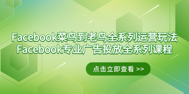 图片[1]-（9065期）Facebook-菜鸟到老鸟全系列运营玩法+Facebook-专业广告投放全系列课程-蛙蛙资源网