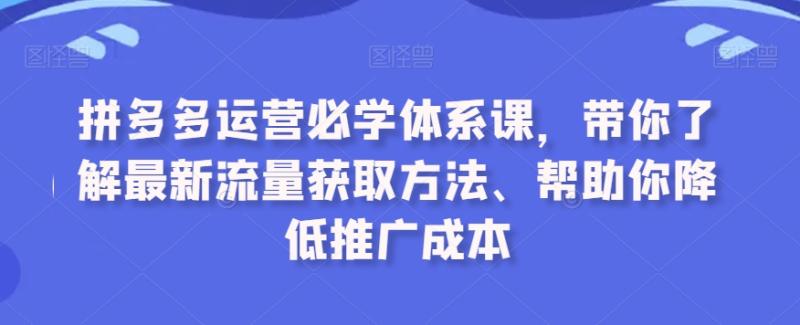 图片[1]-拼多多运营必学体系课，带你了解最新流量获取方法、帮助你降低推广成本-蛙蛙资源网