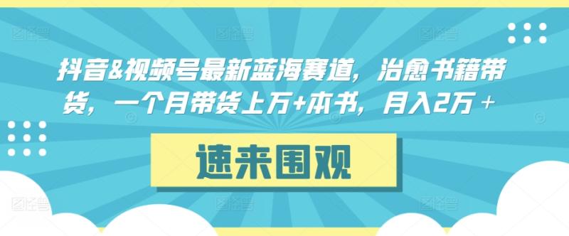 图片[1]-抖音&视频号最新蓝海赛道，治愈书籍带货，一个月带货上万+本书，月入2万＋-蛙蛙资源网