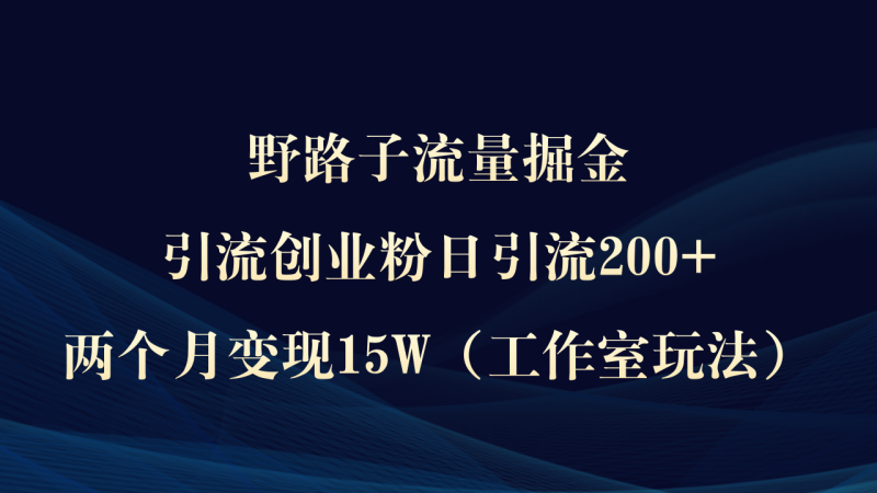 （9513期）野路子流量掘金，引流创业粉日引流200+，两个月变现15W（工作室玩法）
