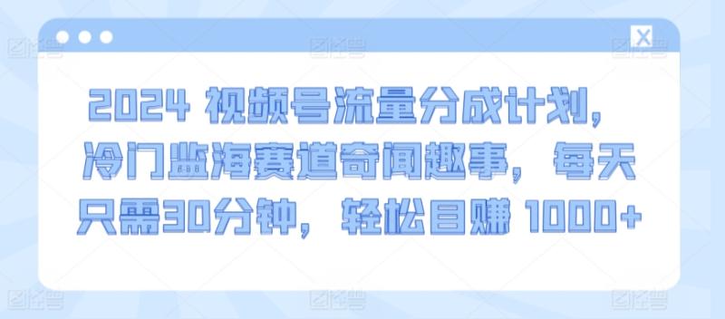 图片[1]-2024视频号流量分成计划，冷门监海赛道奇闻趣事，每天只需30分钟，轻松目赚 1000+-蛙蛙资源网