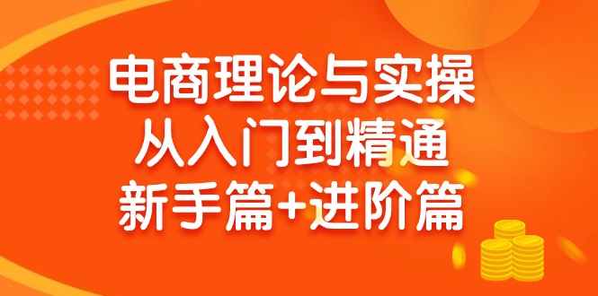 图片[1]-（9576期）电商理论与实操从入门到精通 新手篇+进阶篇-蛙蛙资源网