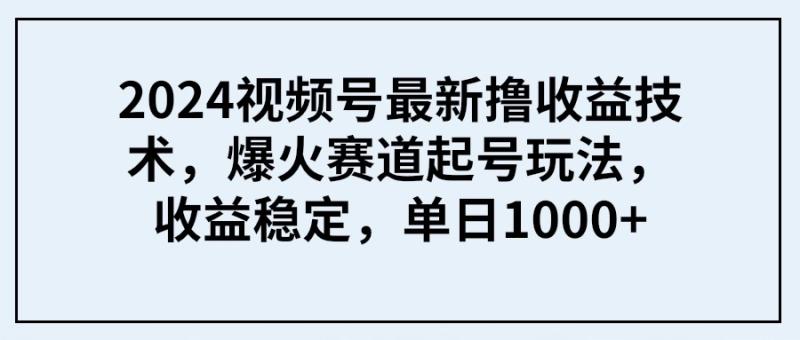 图片[1]-（9651期） 2024视频号最新撸收益技术，爆火赛道起号玩法，收益稳定，单日1000+-蛙蛙资源网