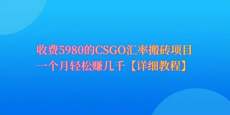 图片[1]-（9776期）CSGO装备搬砖，月综合收益率高达60%，你也可以！-蛙蛙资源网