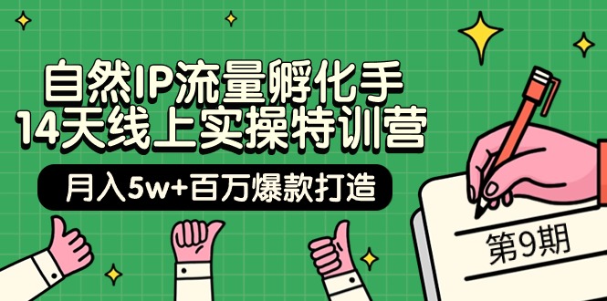 图片[1]-（9881期）自然IP流量孵化手 14天线上实操特训营【第9期】月入5w+百万爆款打造 (74节)-蛙蛙资源网