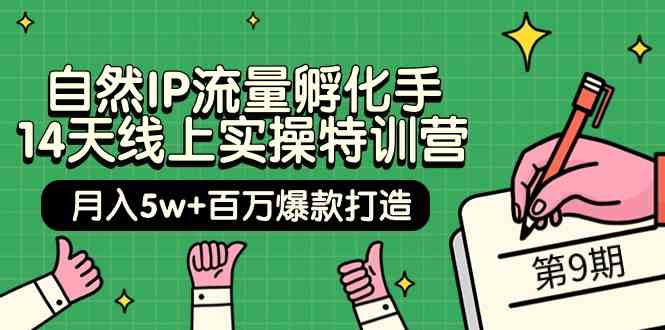 图片[1]-自然IP流量孵化手14天线上实操特训营【第9期】月入5w+百万爆款打造 (74节)-蛙蛙资源网