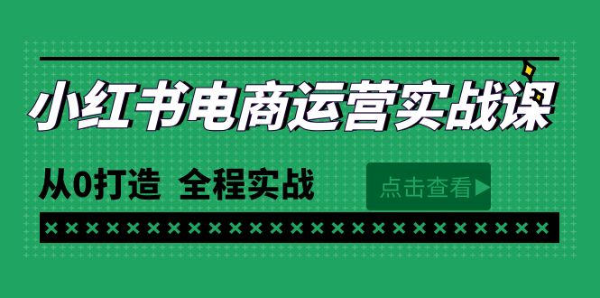 图片[1]-（9946期）最新小红书·电商运营实战课，从0打造 全程实战（65节视频课）-蛙蛙资源网