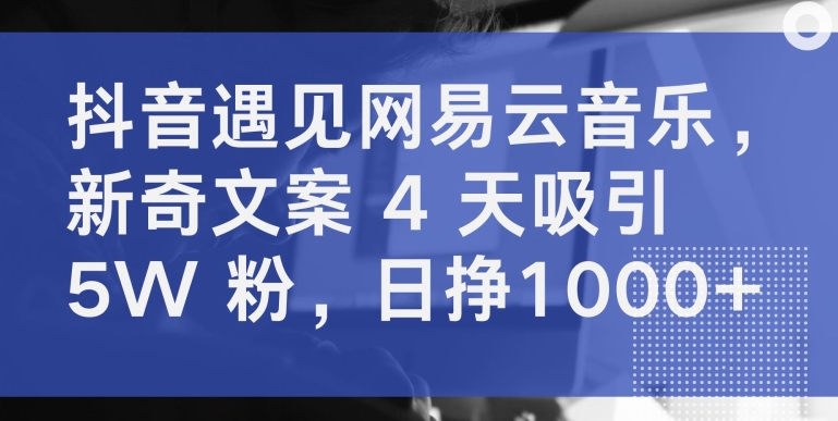 图片[1]-抖音遇见网易云音乐，新奇文案 4 天吸引 5W 粉，日挣1000+-蛙蛙资源网